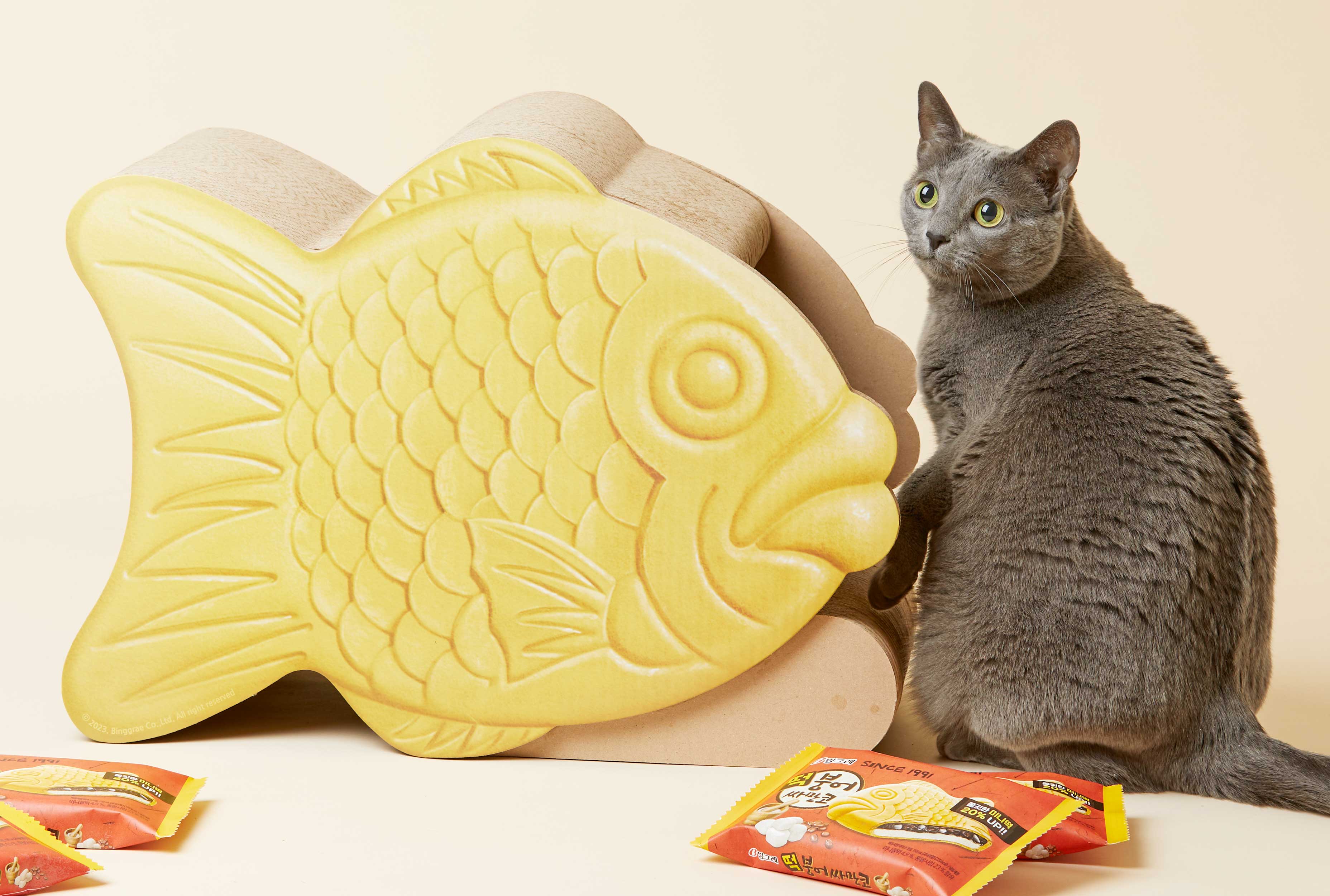 [First Reveal] Bungeoppang Samanco Scratcher Fun for You and Your Cat! (100% Made in Korea)