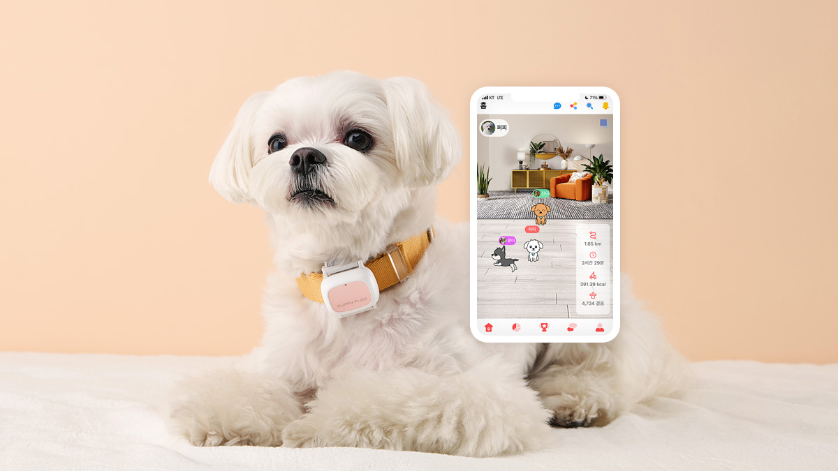 No more worrying about your dog alone! Experience easy care in virtual reality with this innovative wearable.