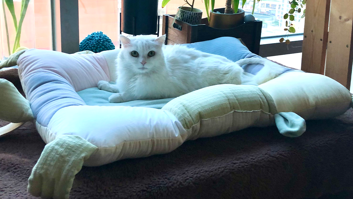 Spring infused with design