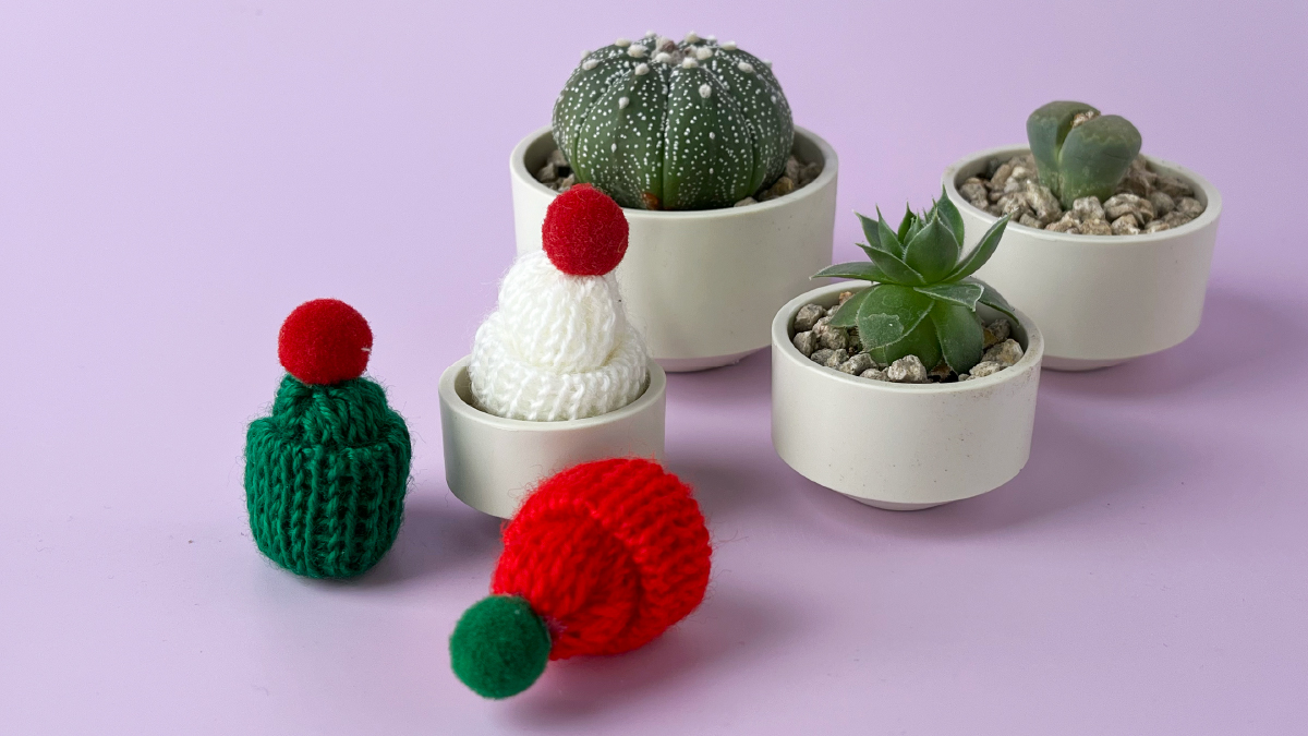 地球に優しい生分解ミニプランター【ラッキーココプランター】