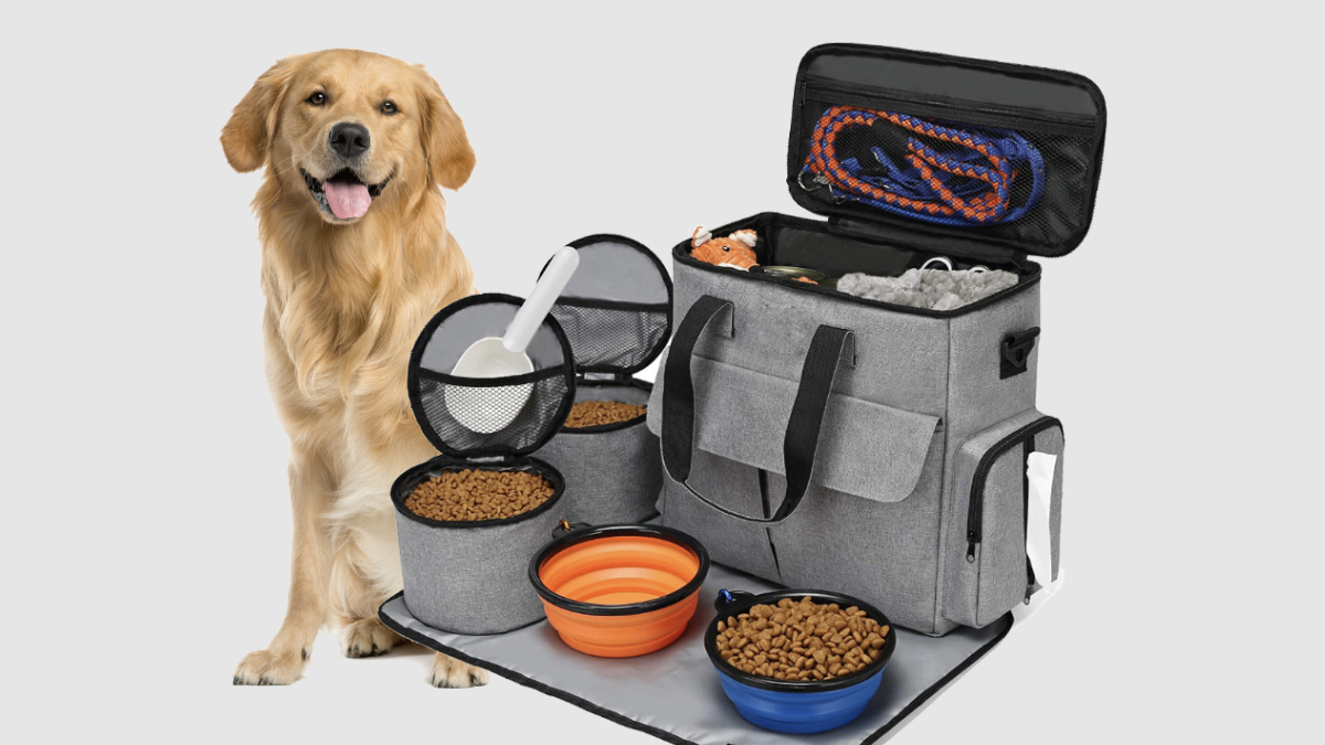 [3만원대] 반려견과 완벽한 여행을 위한 댕댕이 여행필수품 전용 보부상백