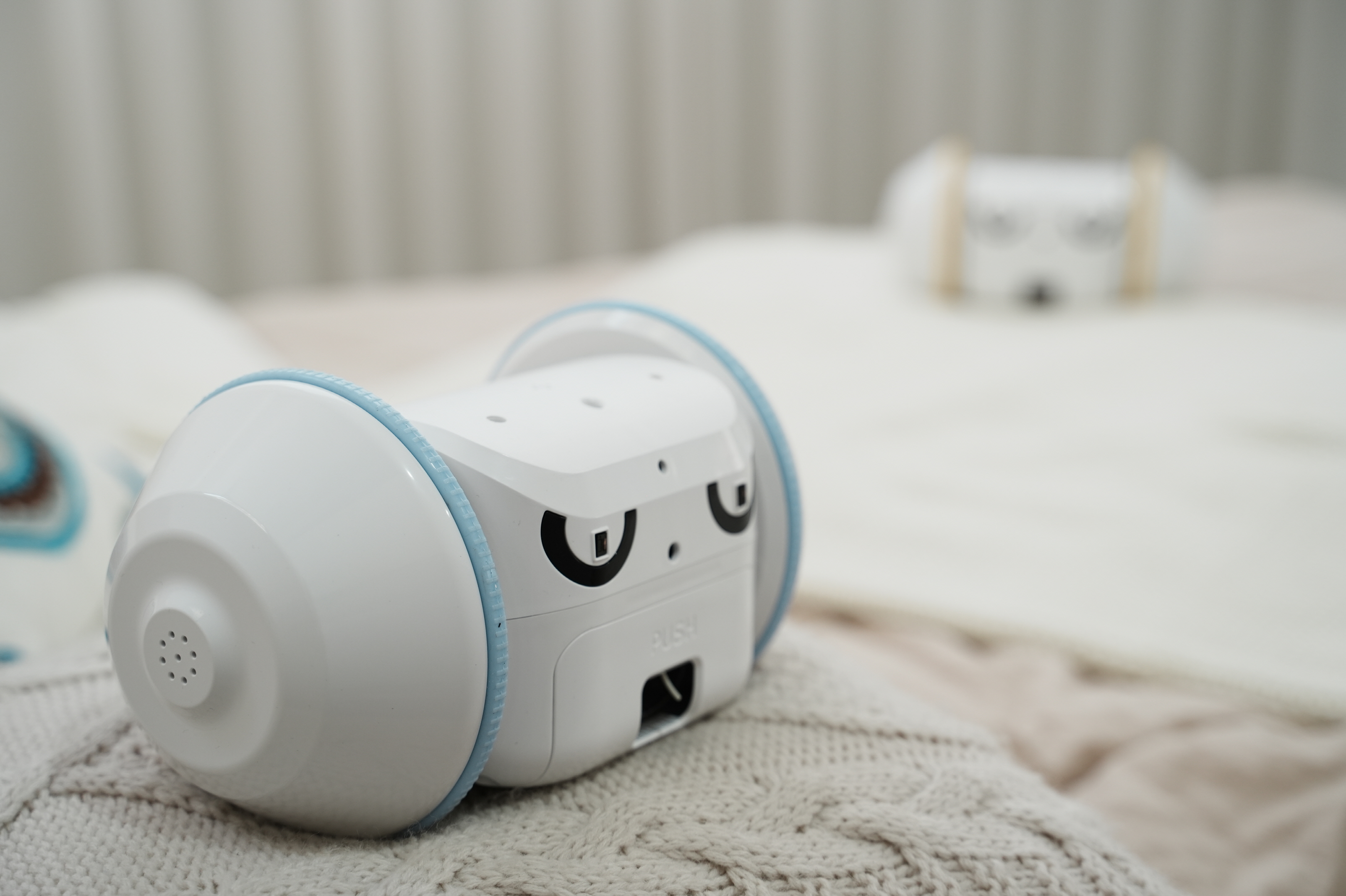 为独自在家的宠物准备的分离焦虑护理机器人【宠物班长】