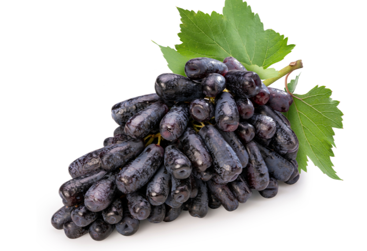 [Wadiz Exclusive] Long grapes with crisp ultra-sweet Black Sapphire flavor!