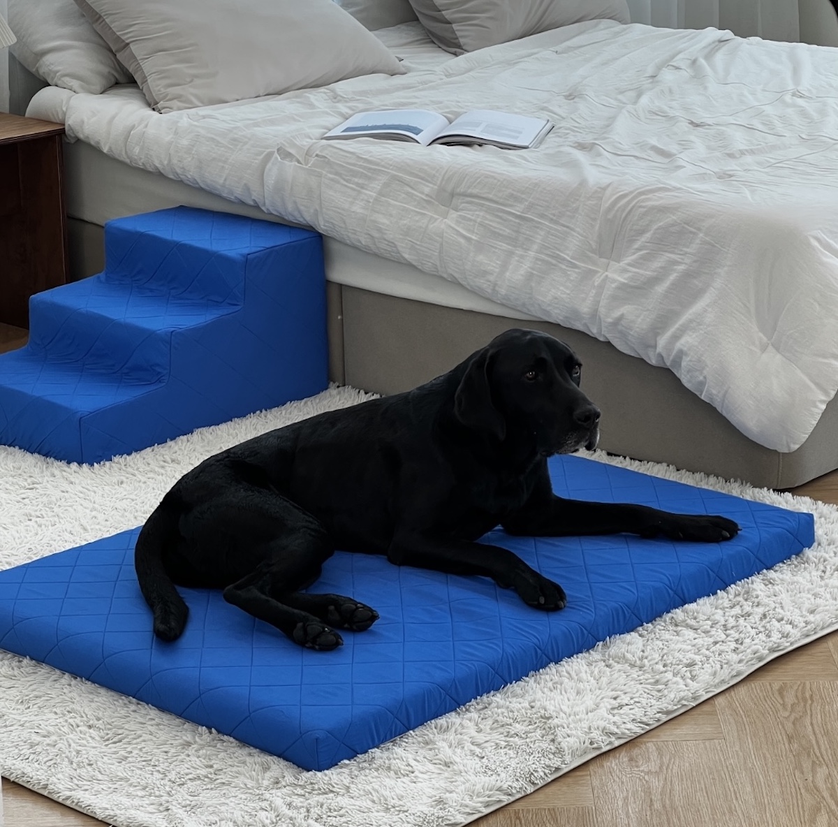 [纯净好眠]可水洗内胆的超净空气宠物床与阶梯