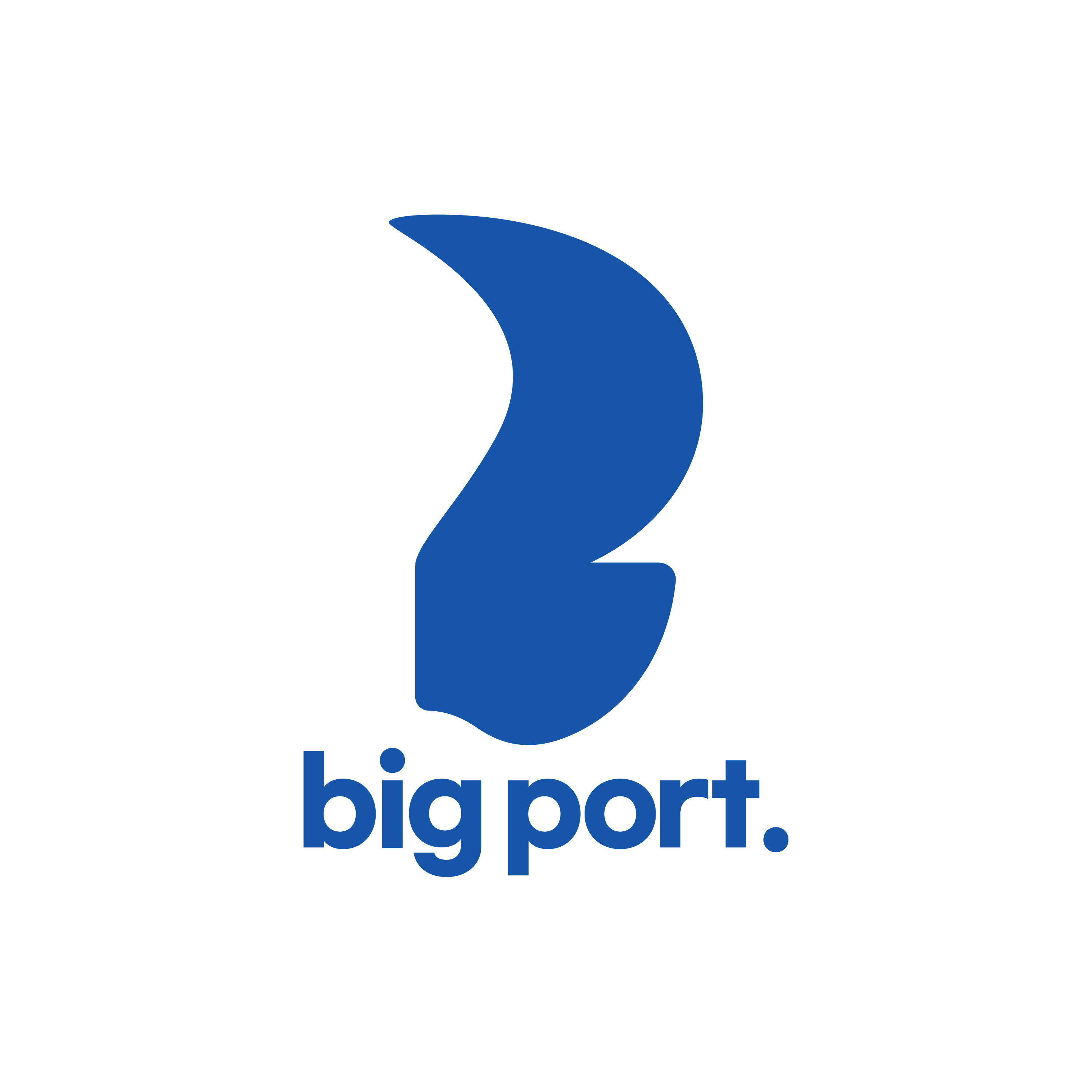 빅포트