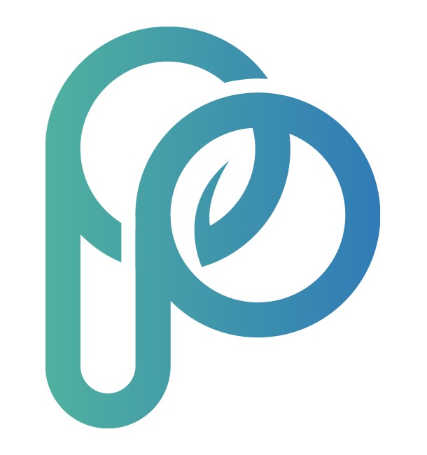 프로미스 프로젝트