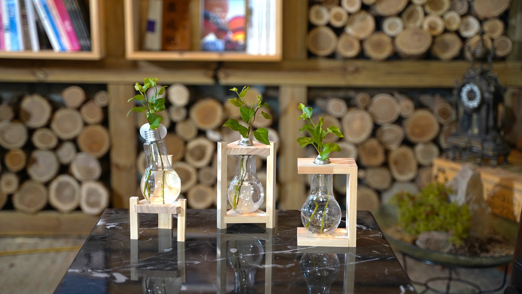 [常春藤宠物植物]还在犹豫要不要养植物？放心吧，不用担心了！