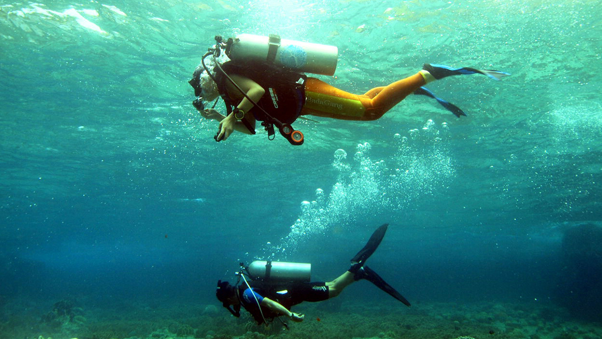 玩耍与清理并行！海底探险与自然净化的双重乐趣