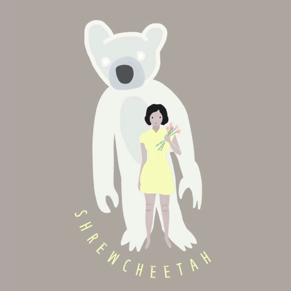 슈르치타 주식회사