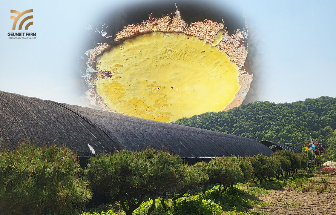 농업회사법인한여울바이오밸리주식회사