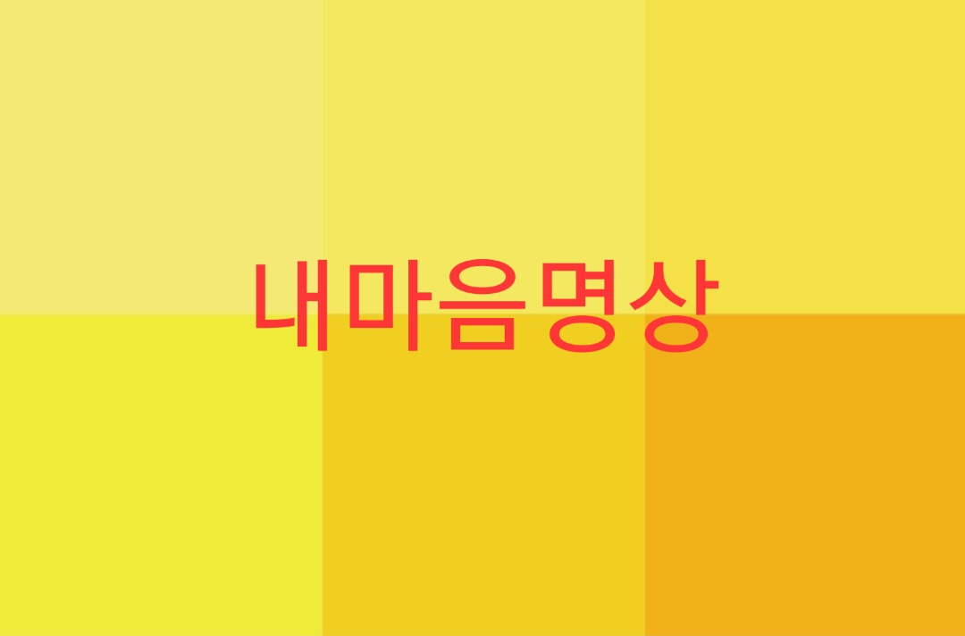 내마음명상