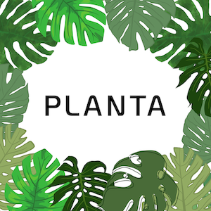 플란타 PLANTA