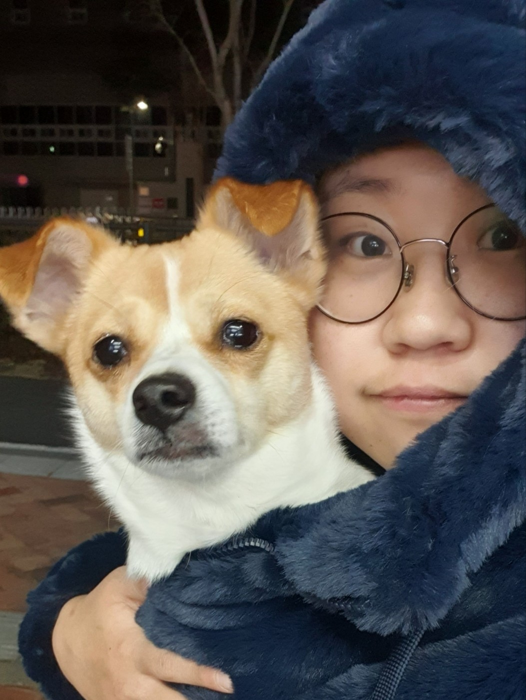 건강하개 먹개