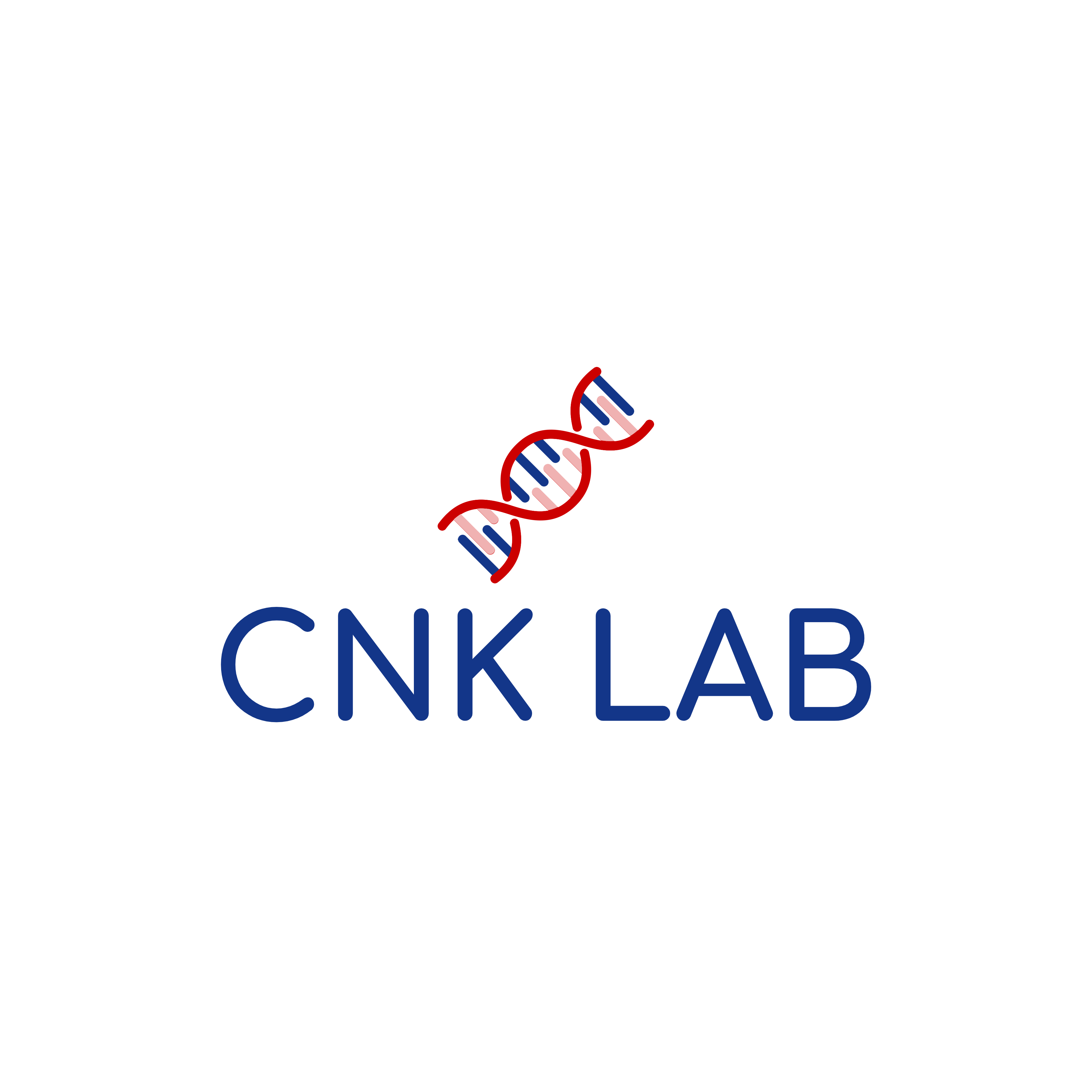 주식회사 씨앤케이랩