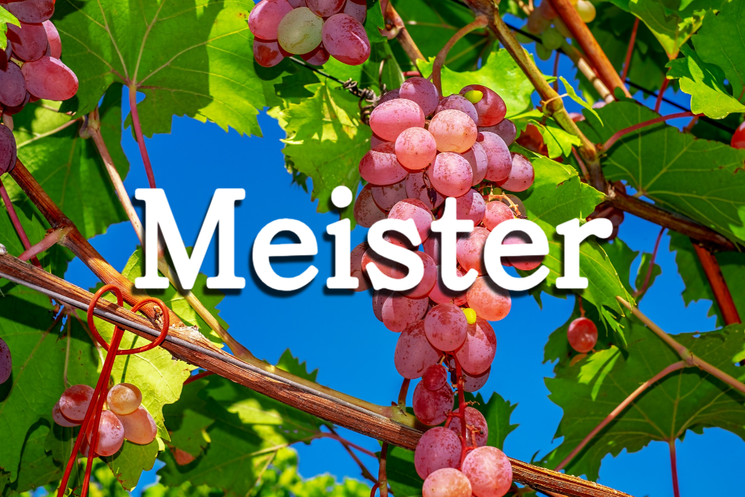과일마이스터(Meister)
