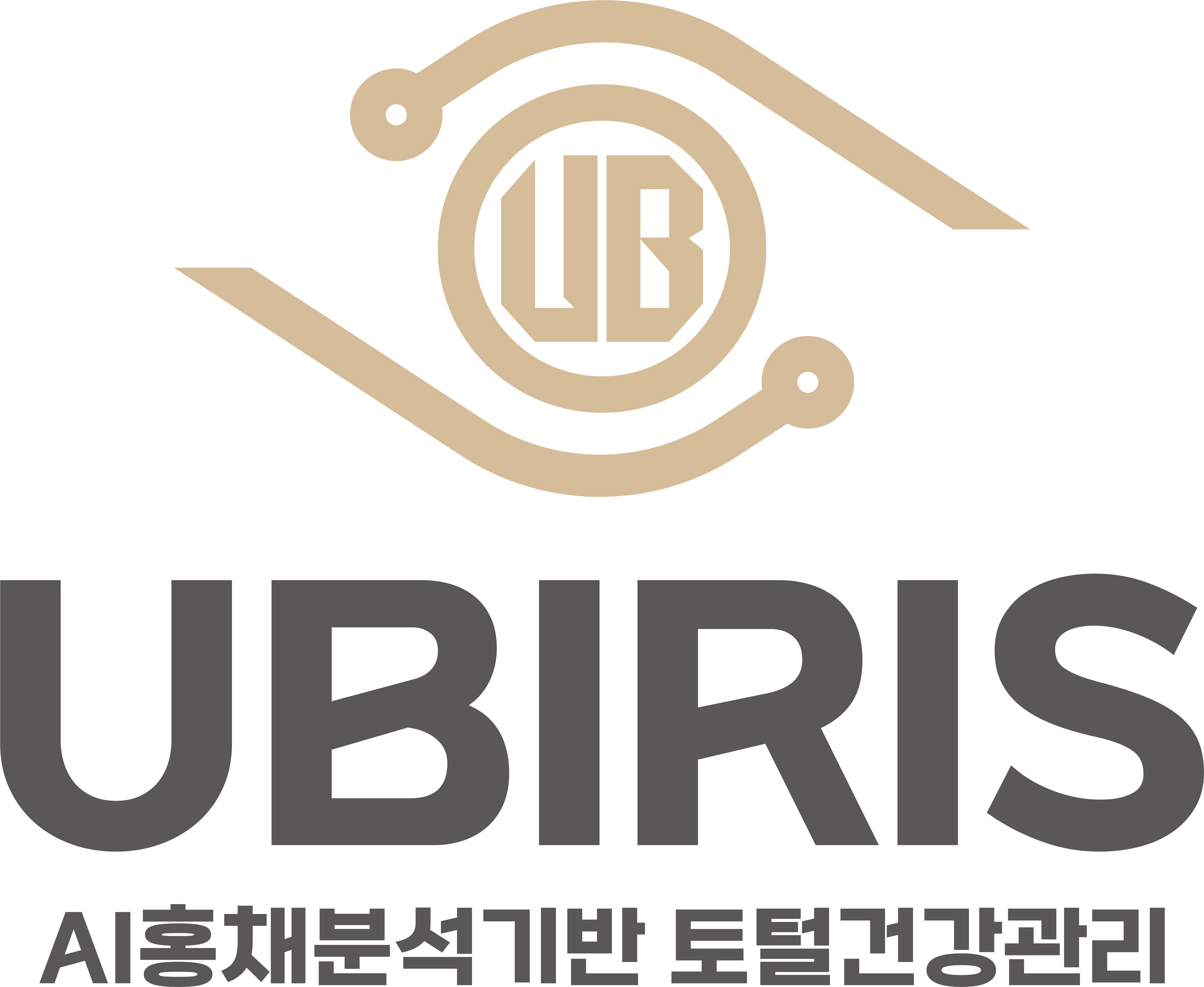 (주)유비아이리스