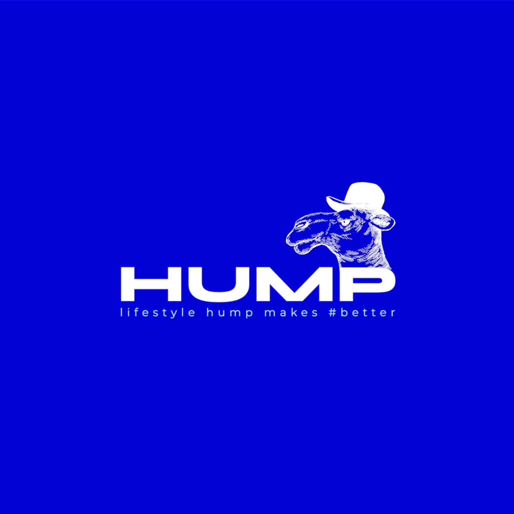 험프HUMP