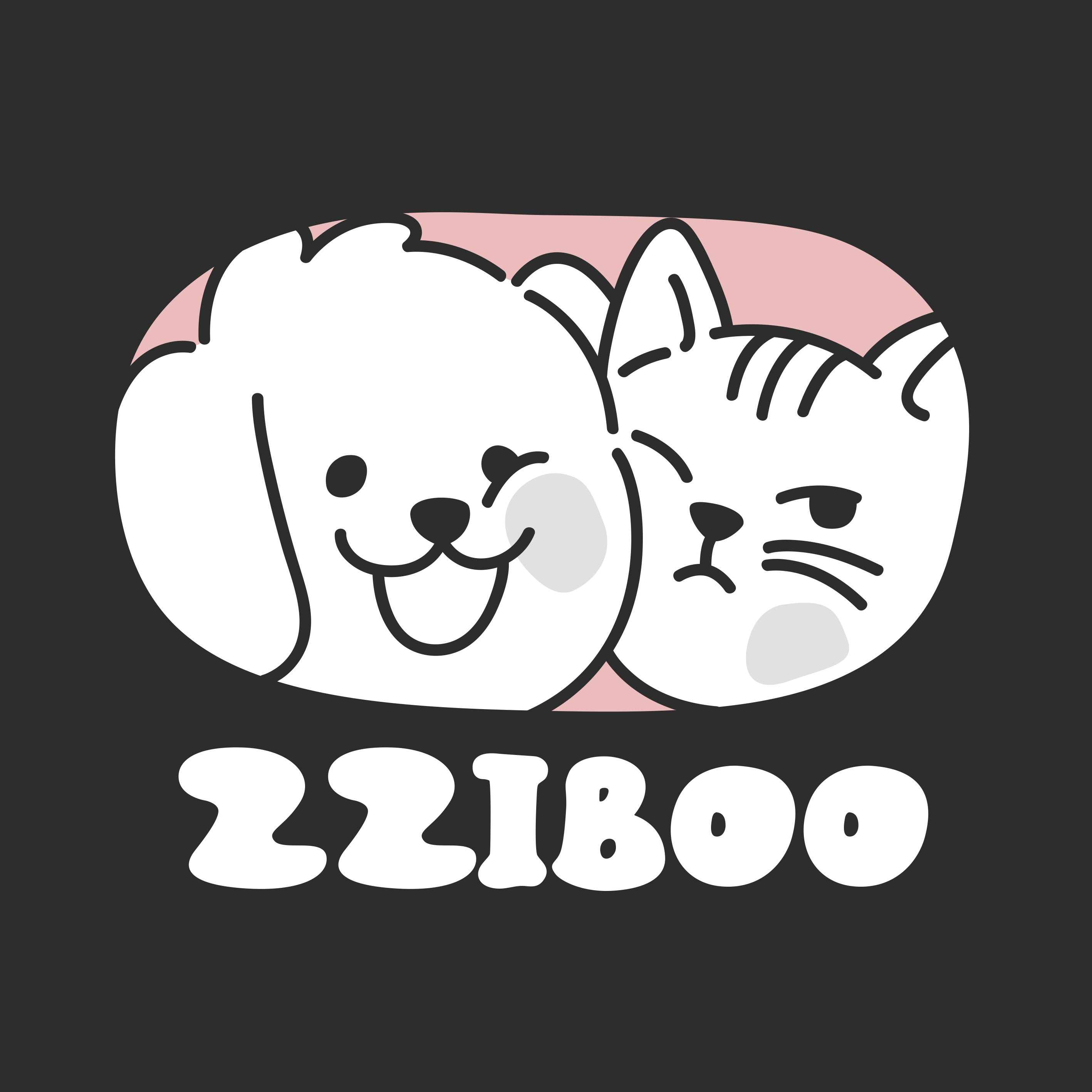 zziboo