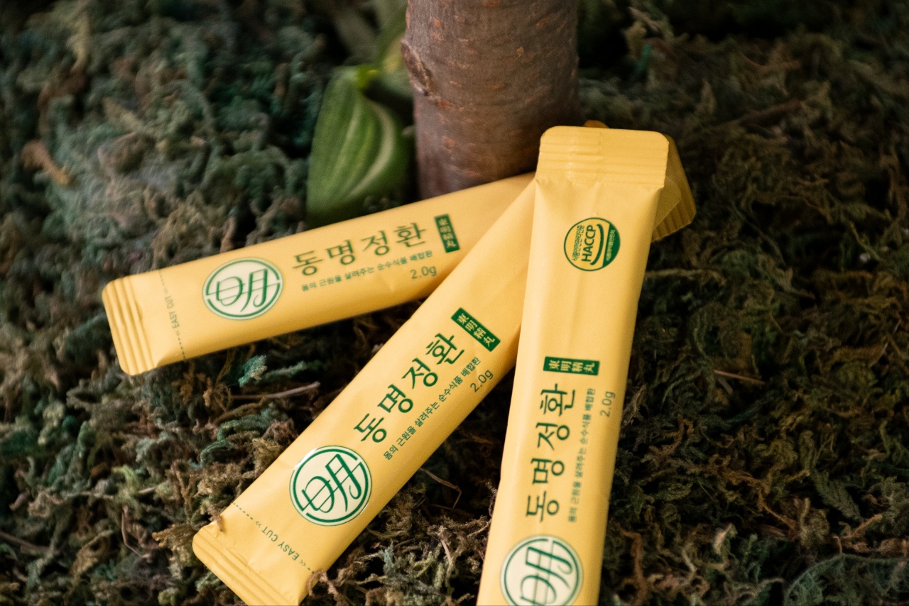 동명정환 