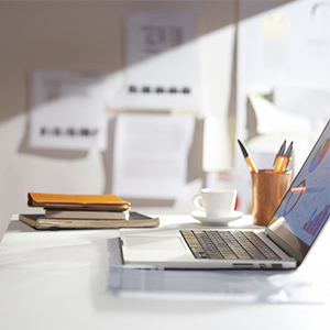 "ESEM Company: Completing Brands with Distinctive Identity"