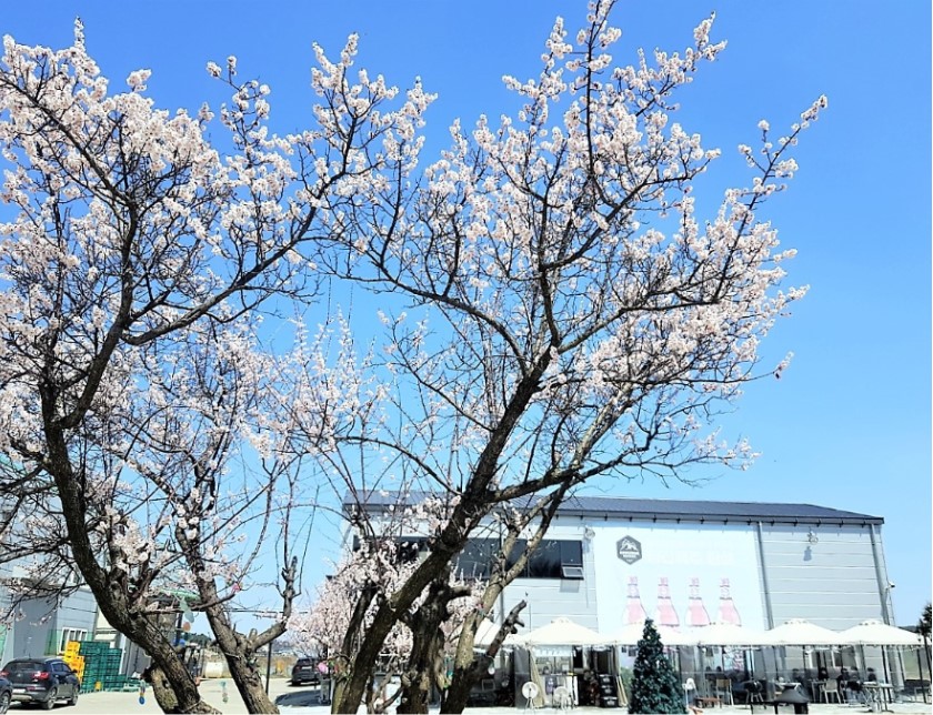 Sunseong Brewery
