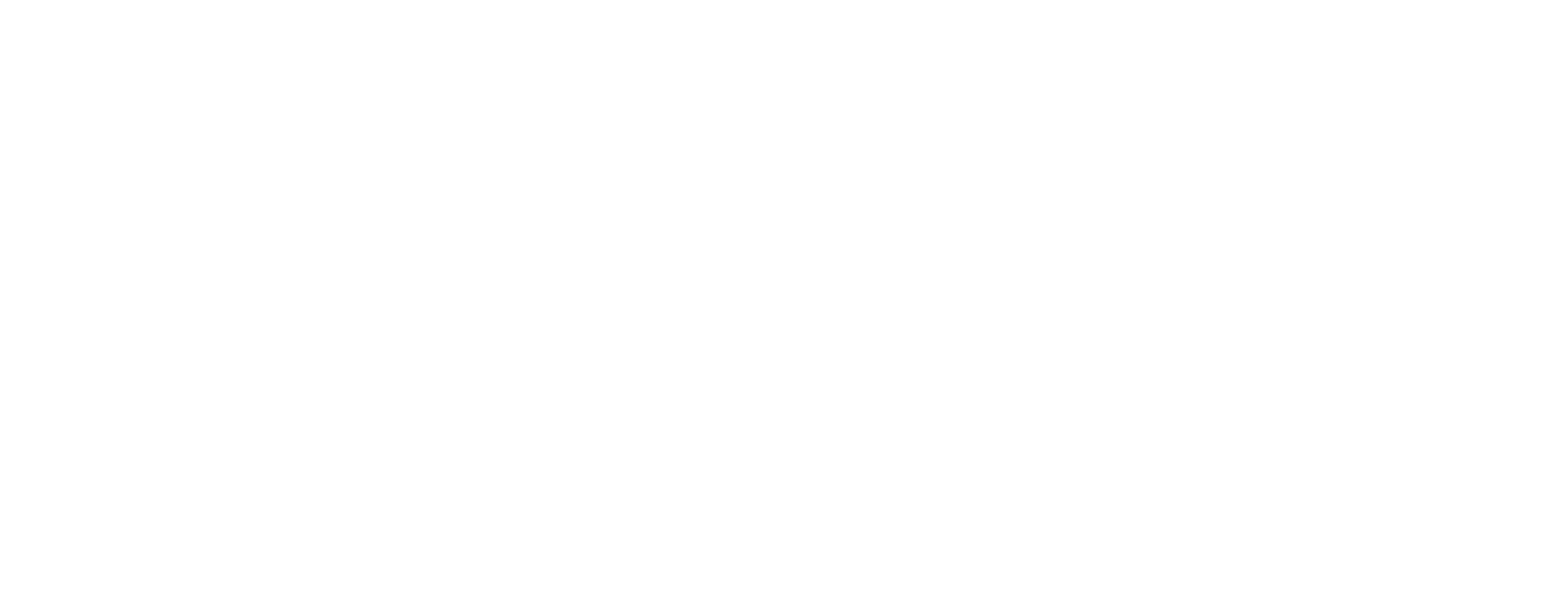 SKINTUNE