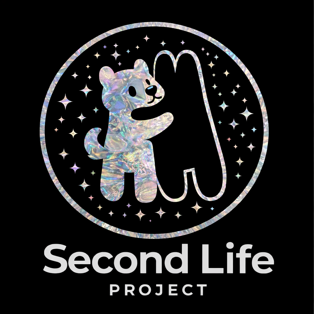 Second LIfe Project