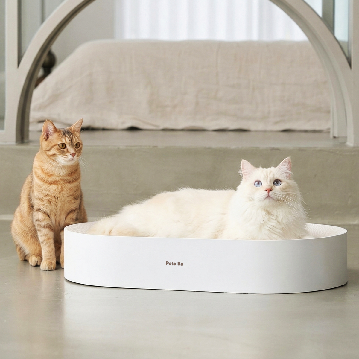 Pets Rx