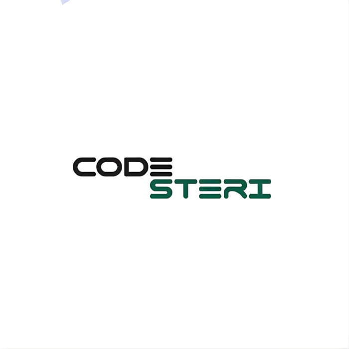 CodeSteri.Inc