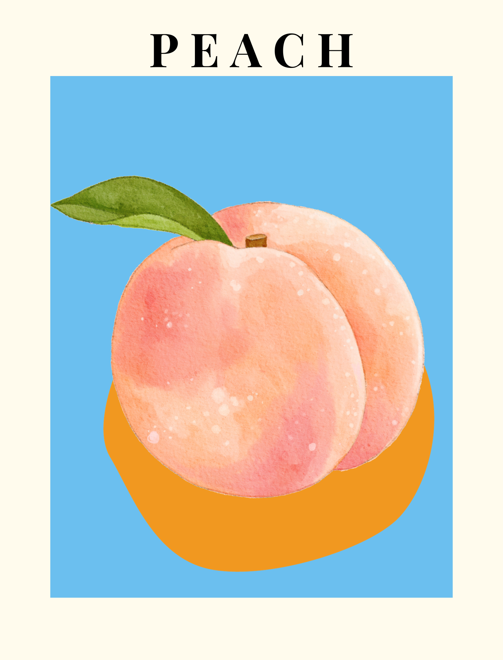 아뜰리에 썸머